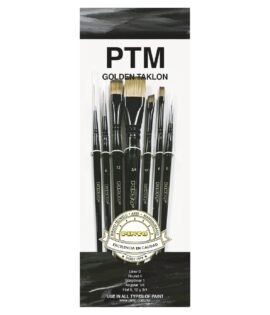 Set Pinceles Pinto PTM Taklon Dorado
